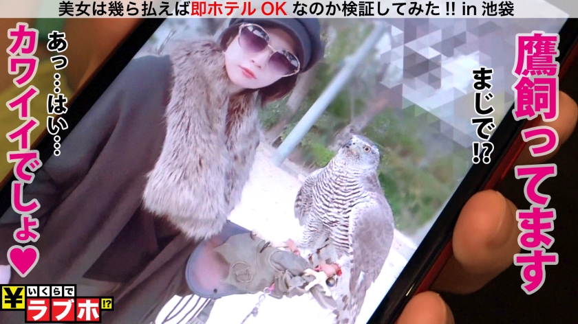 サンプル画像1